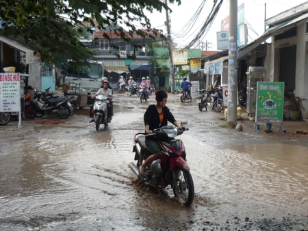 Đường phố như ruộng